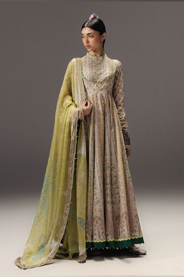 Zara Shahjahan Anarkali`26 HOORAIN