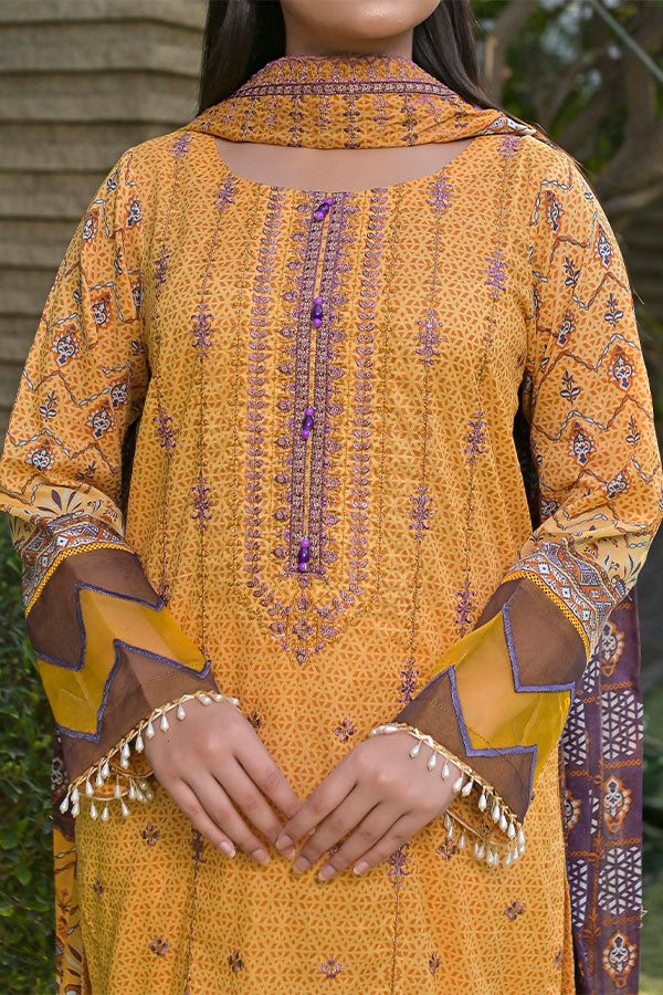 Hafiz Bin Ubaid Lawn'24 D#2A