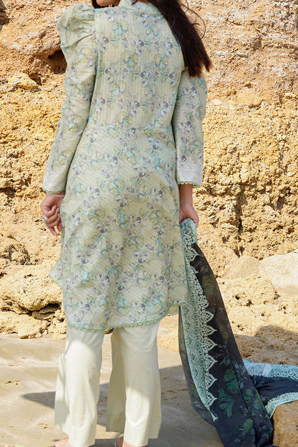 Hafiz Lavish Print Lawn`25 D#06 PISTA