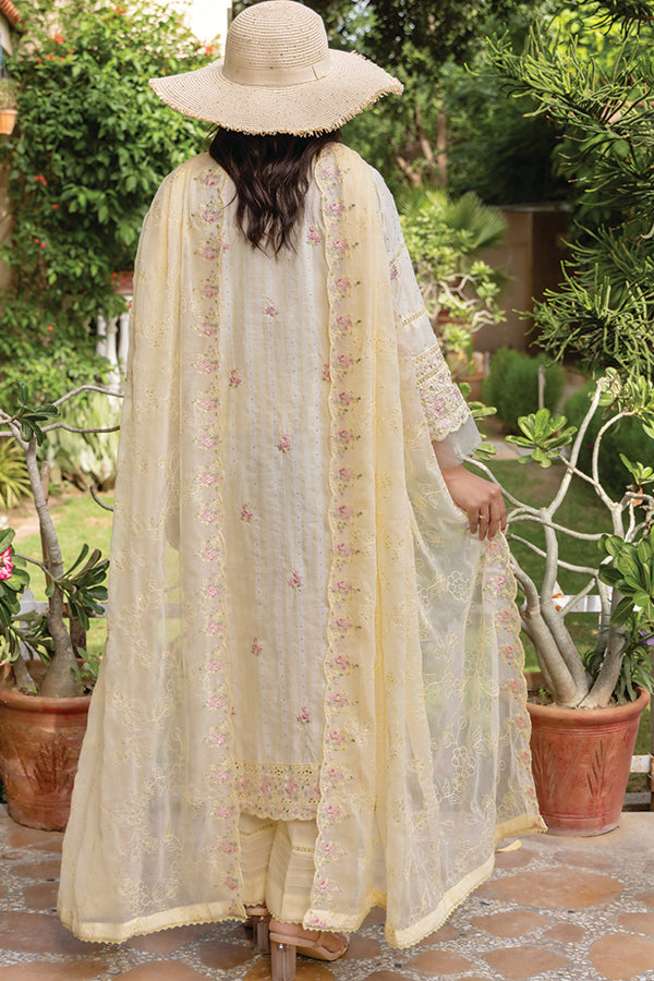 Hafiz Zarista P/Jacquard`26 D#10