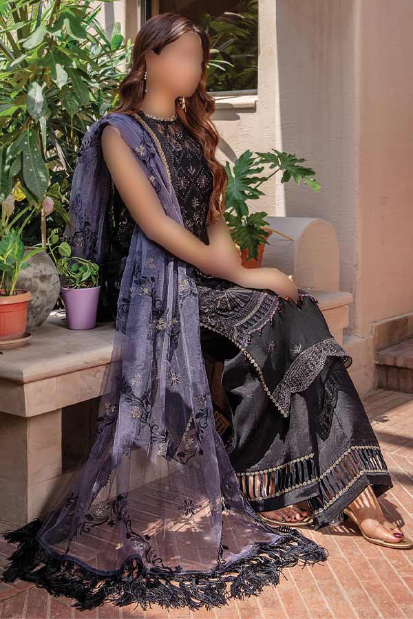 Hamdam Pareesha L/Chiffon'22 D#1