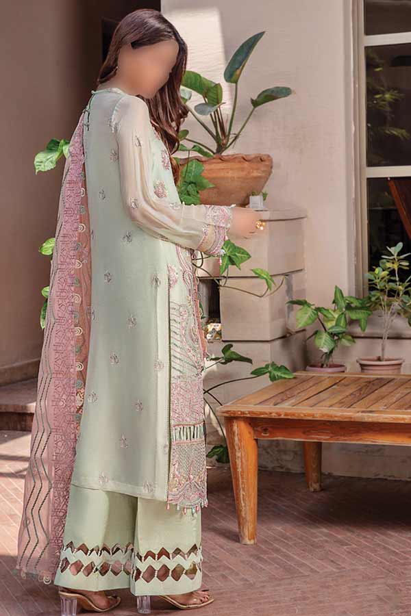 Hamdam Pareesha L/Chiffon'22 D#2