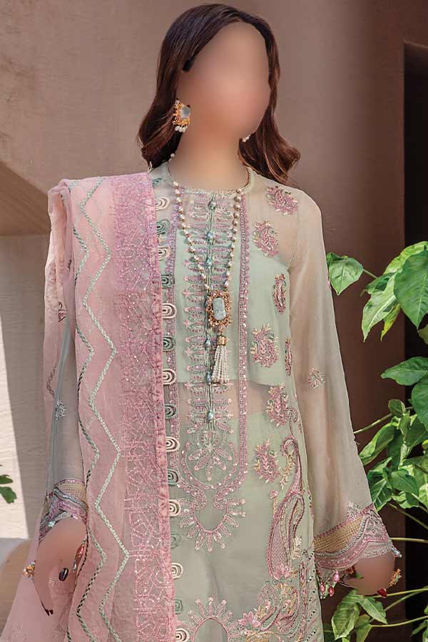 Hamdam Pareesha L/Chiffon'22 D#2