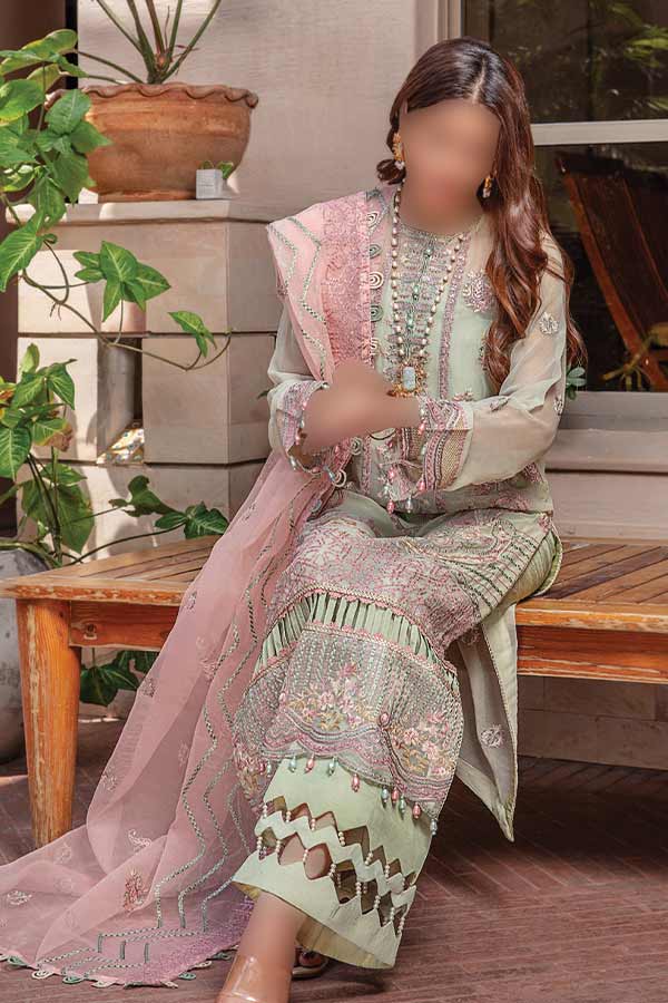 Hamdam Pareesha L/Chiffon'22 D#2