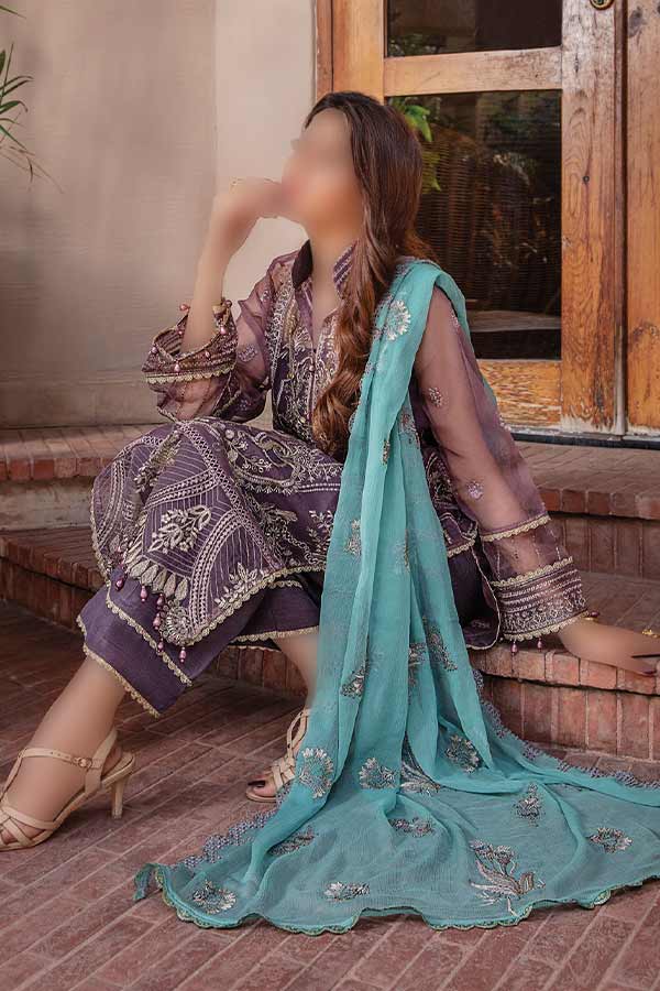 Hamdam Pareesha L/Chiffon'22 D#3