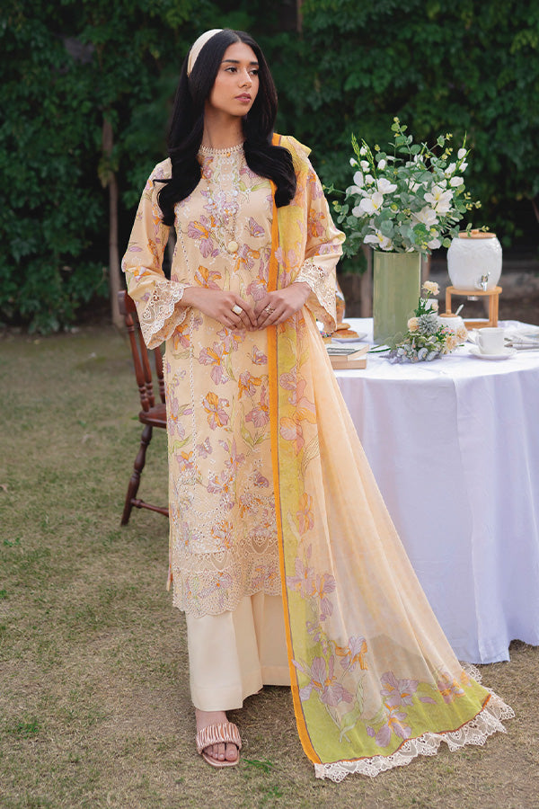 Humdum Gardenia Lawn'24 D#02