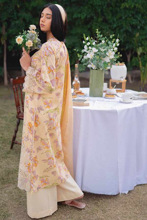 Humdum Gardenia Lawn'24 D#02