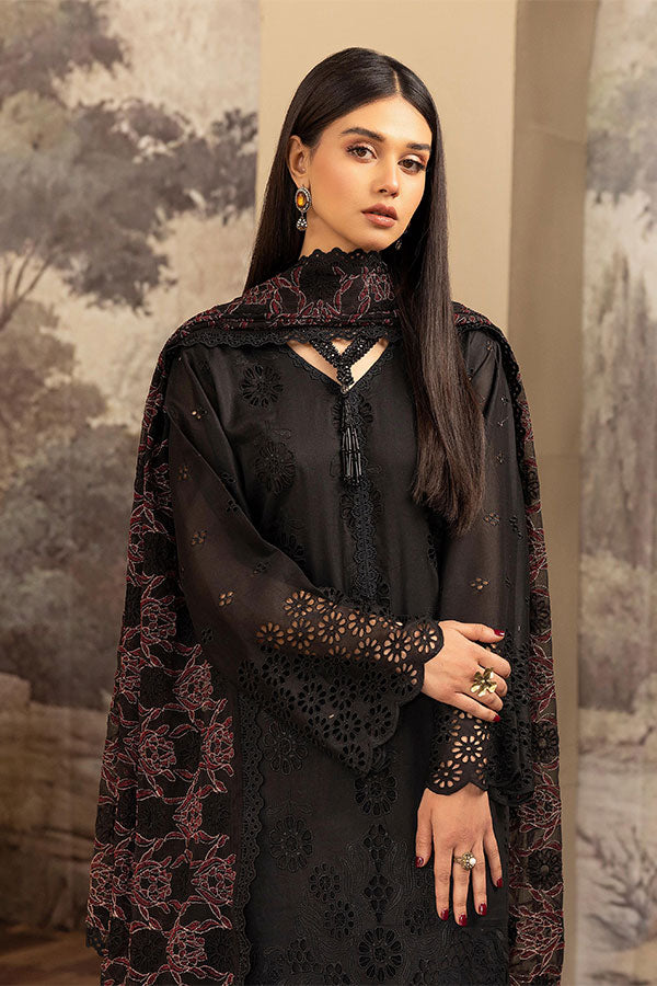 Humdum Elegant C/Kari Lawn`25 D#1