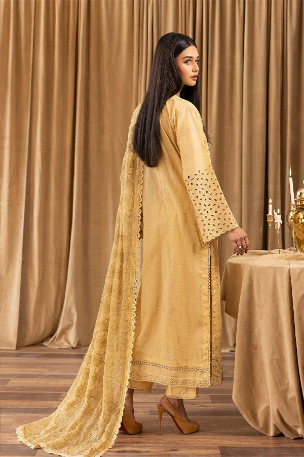 Humdum Elegant C/Kari Lawn`25 D#2