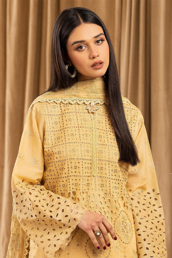 Humdum Elegant C/Kari Lawn`25 D#2