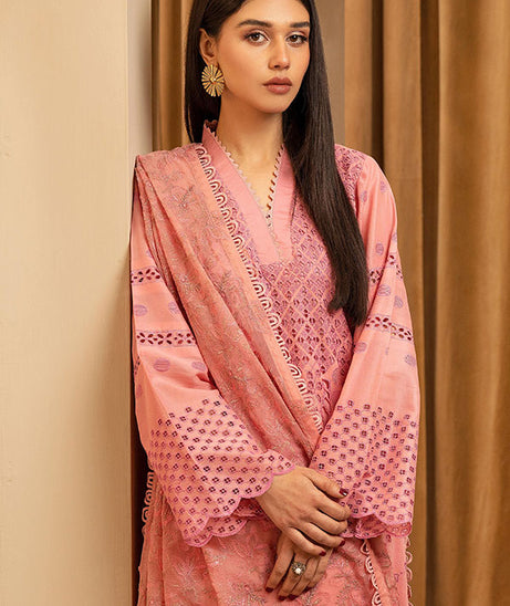Humdum Elegant C/Kari Lawn`25 D#3