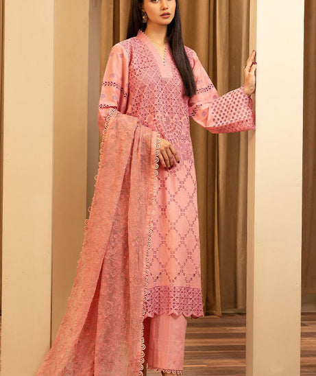 Humdum Elegant C/Kari Lawn`25 D#3