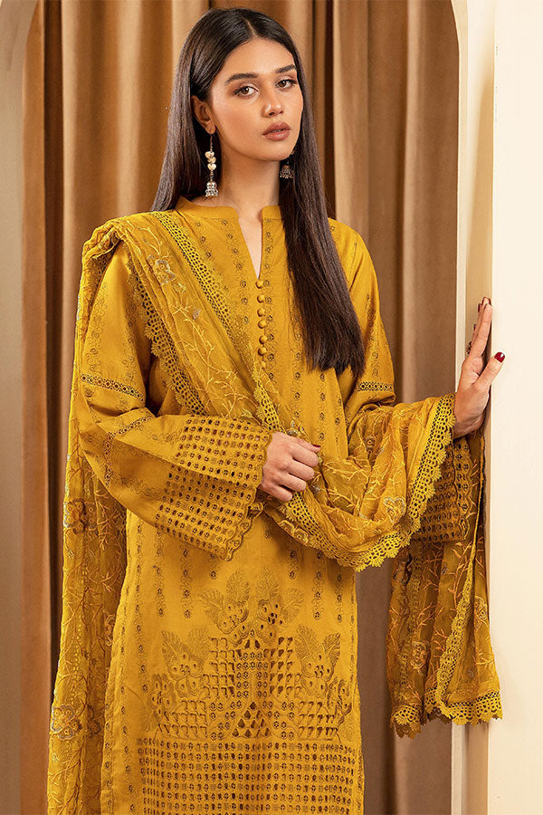 Humdum Elegant C/Kari Lawn`25 D#5