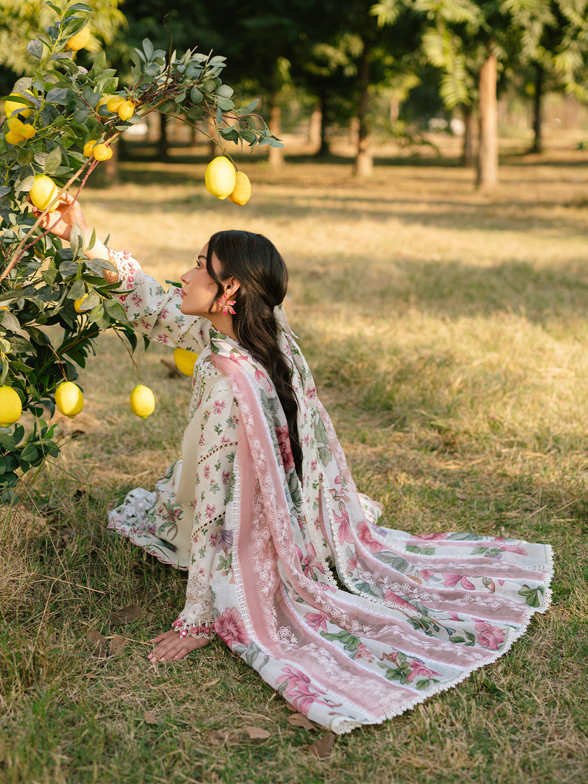 Parishay Ivy Bloom Lawn`25 IVY#05