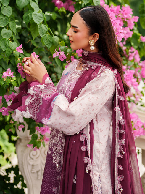 Parishay IVY Bloom Winter`25 IW#14