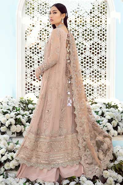 Iznik Celestial Luxury Chiffon`22 ICC#05