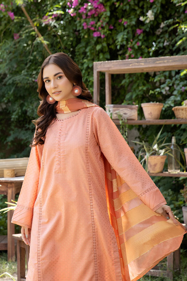 Johra Pinar Banarsi Lawn`25 JH#715