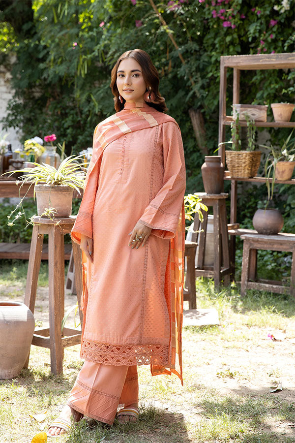 Johra Pinar Banarsi Lawn`25 JH#715