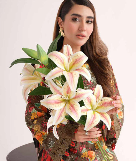 Johra Zenal Print Khaddar'24 JH#479