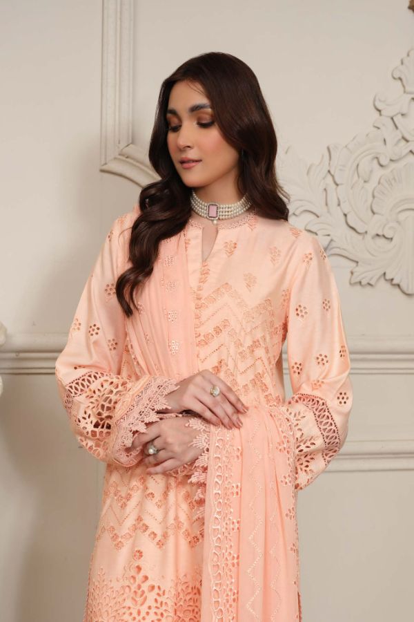 Johra Zareen C-Kari Viscose`24 JH#48