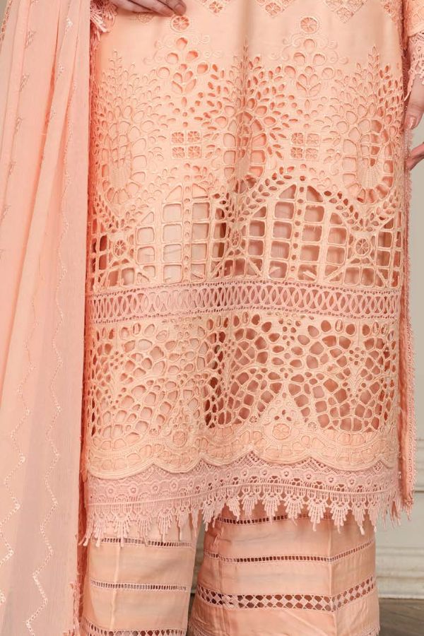 Johra Zareen C-Kari Viscose`24 JH#48