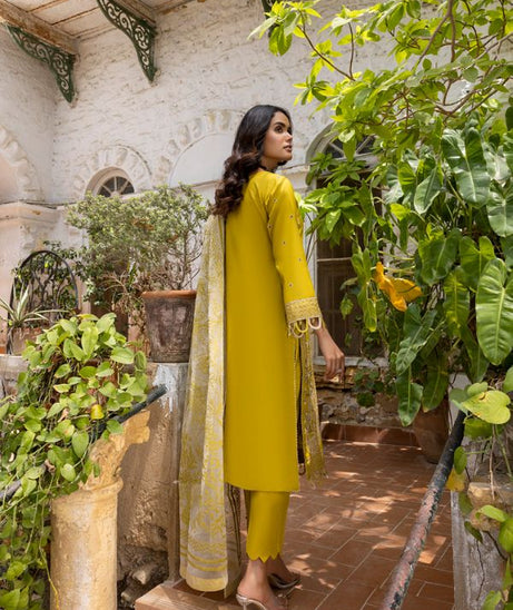 Kalyan Embroidered Lawn'23 D#3