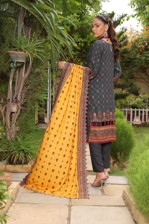 Mi Creation Kinara Digital Doria`24 (D Grey)