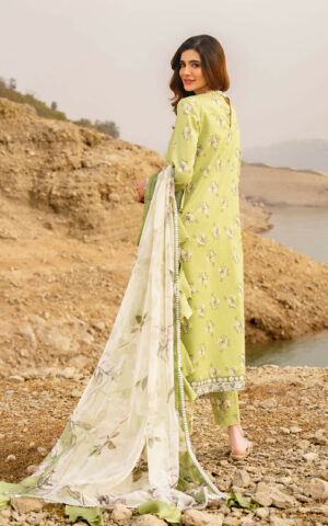 Asifa & Nabeel Meraki`24 Vol-1 LARA