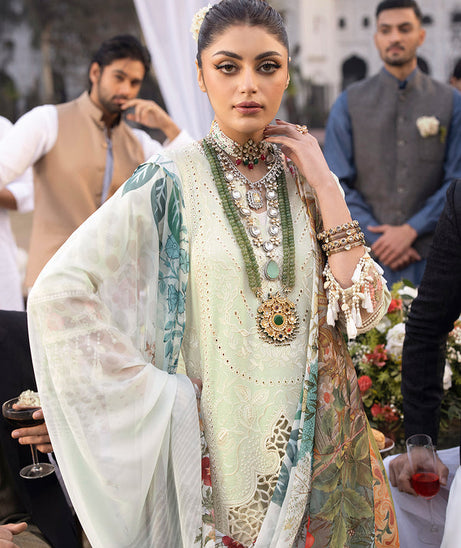 Mahnur Mahrukh Lawn'24 D#6-B LILLY