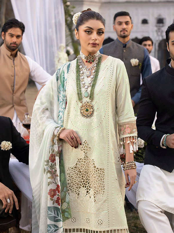Mahnur Mahrukh Lawn'24 D#6-B LILLY