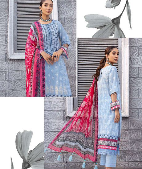 Lala Celebre Lawn`24 LP#51