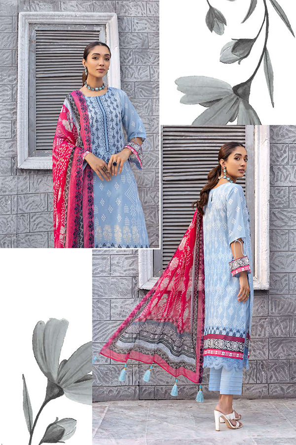 Lala Celebre Lawn`24 LP#51
