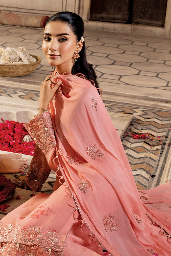 M.Basics Unstitched Winter Festive`25 D#7 (Coral)