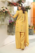 M Basic Unstitched Lawn`25 D#11-A