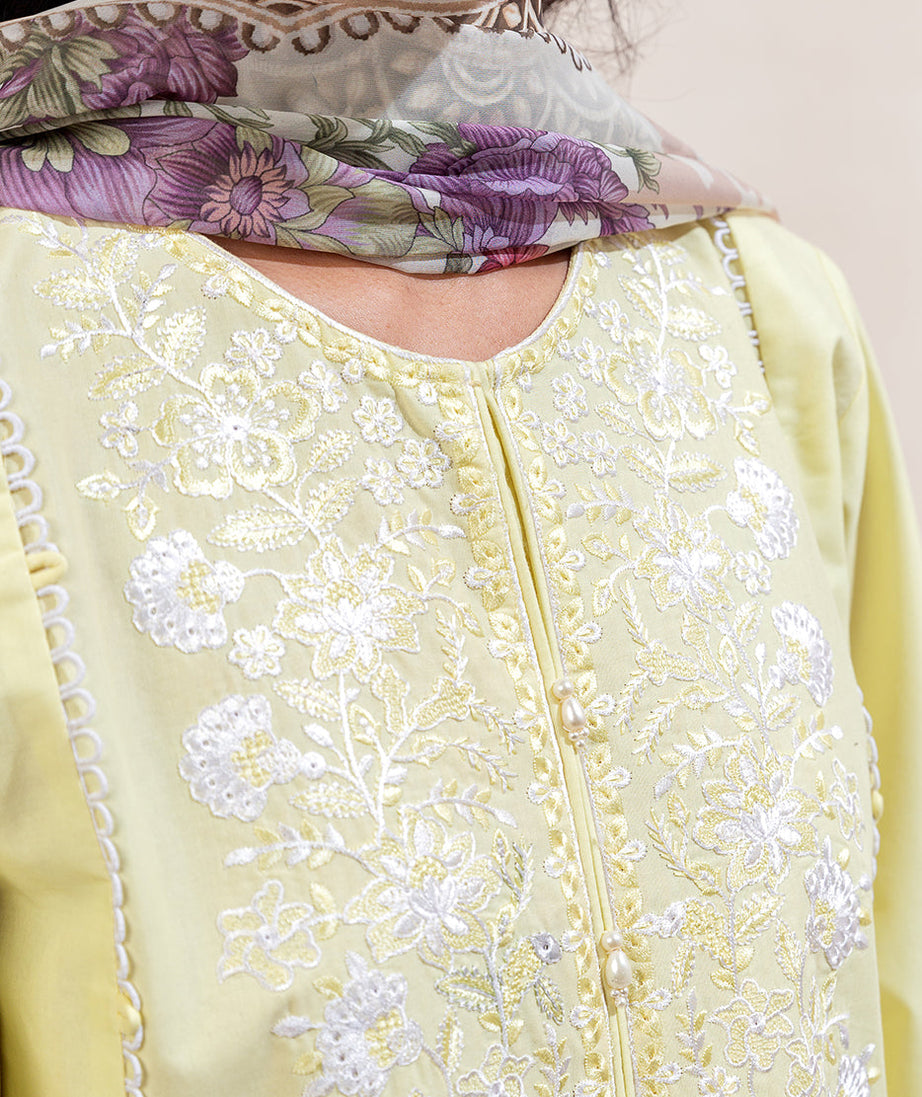 Beech Tree Mor Bagh Lawn`25 MB#7047