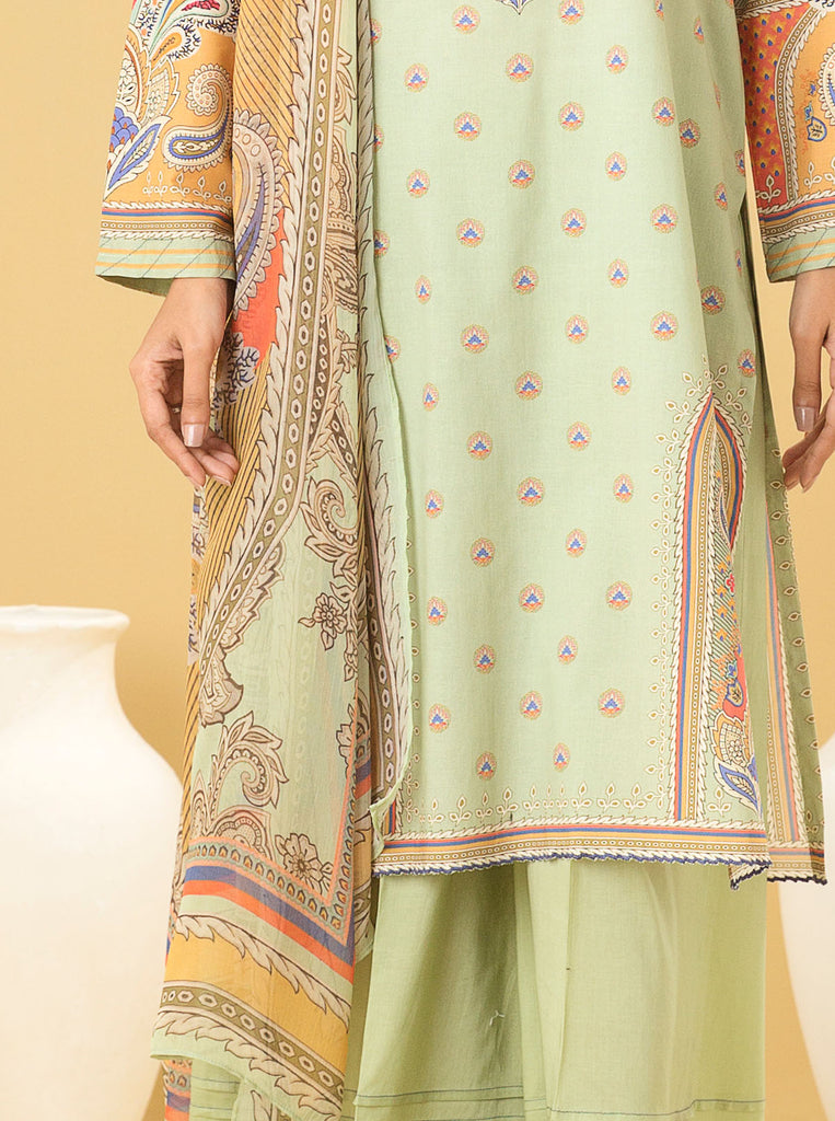 Beech Tree Mor Bagh Lawn`22 U#41