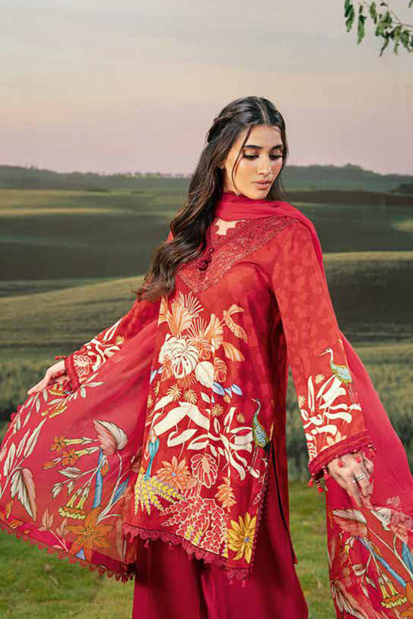 M Basics Unstitched Pre Fall`25 D#5-B