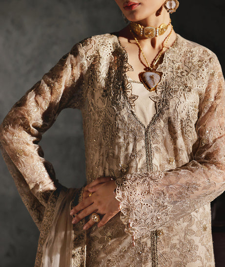 Rajbari Sage Formals`24 D#4 (Verve)