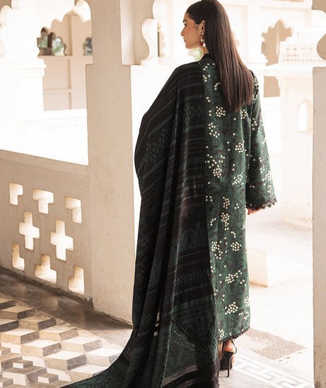 Raj Bari Premium Winter`24 D#1-A
