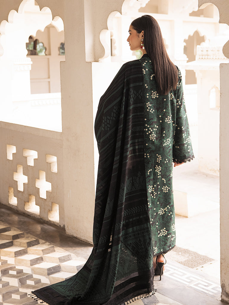 Raj Bari Premium Winter`24 D#1-A