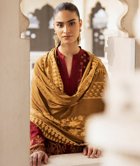 Raj Bari Premium Winter`24 D#6-A