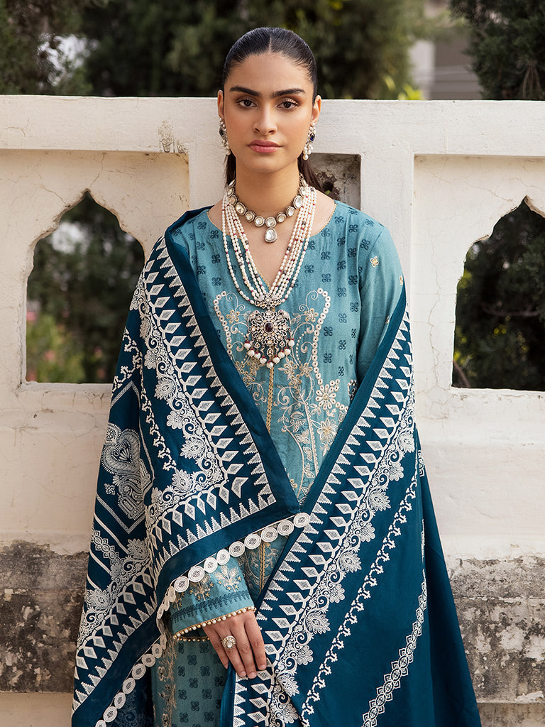Raj Bari Premium Winter`24 D#6-B