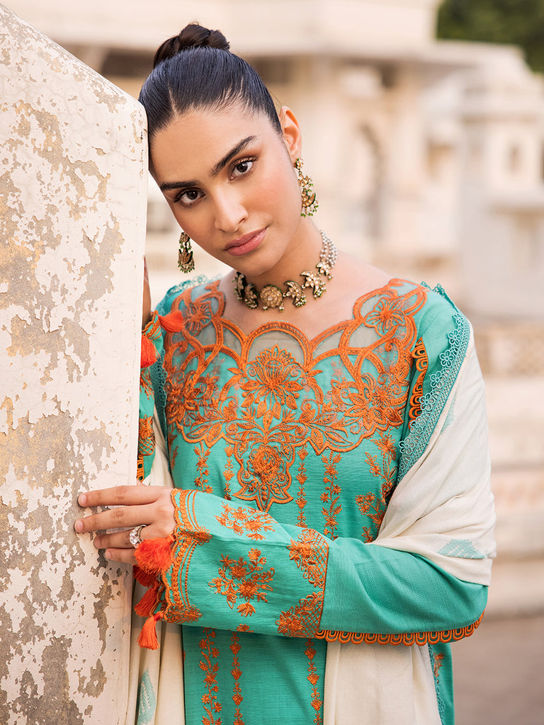 Raj Bari Premium Winter`24 D#5-B