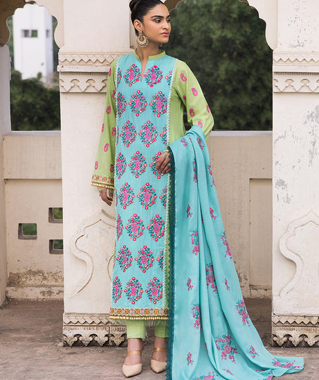 Raj Bari Premium Winter`24 D#3-B