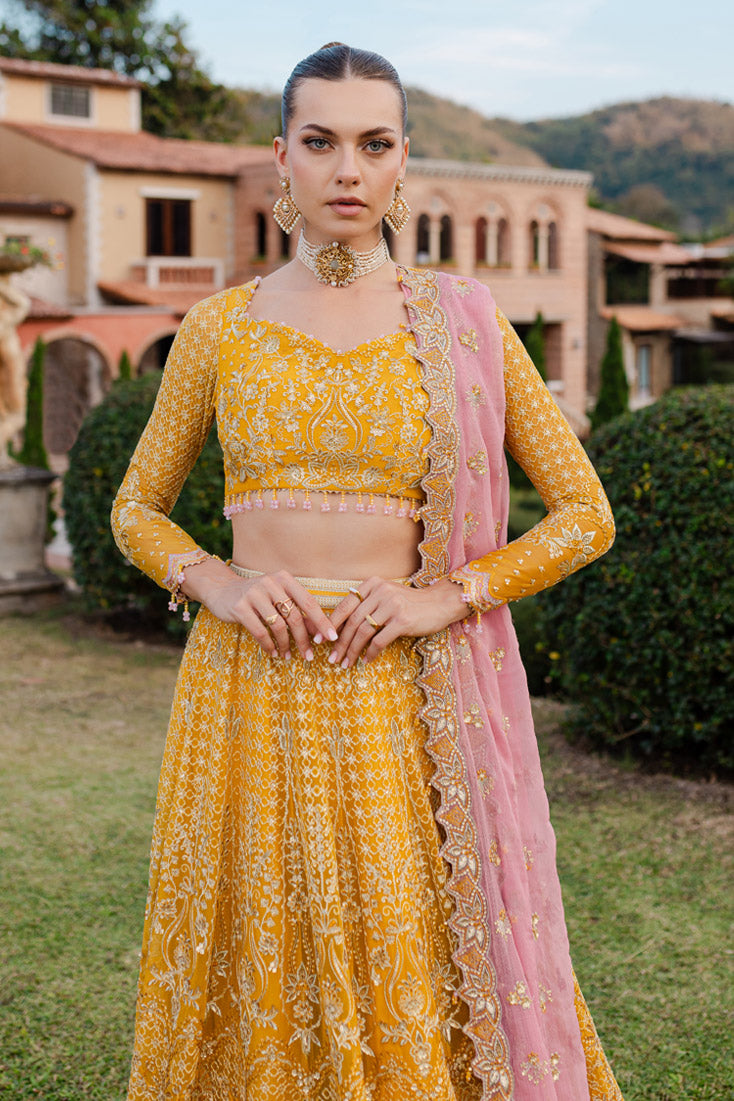 Marjjan Isabella Chiffon`25 MLC#28