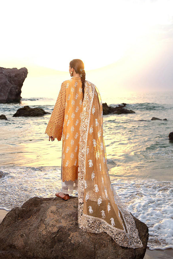Mohsin Naveed Ranjha Festive Lawn`24 D#13