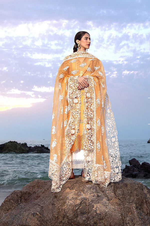Mohsin Naveed Ranjha Festive Lawn`24 D#13