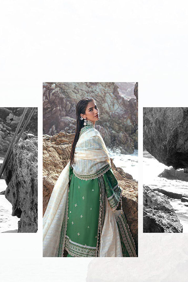 Mohsin Naveed Ranjha Festive Lawn`24 D#17