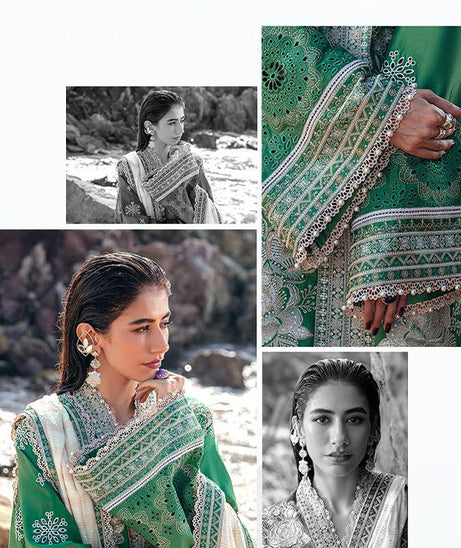 Mohsin Naveed Ranjha Festive Lawn`24 D#17
