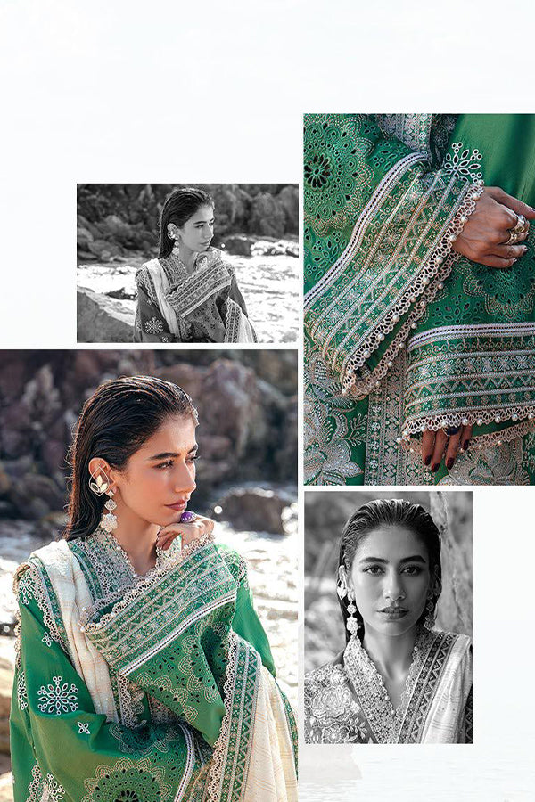 Mohsin Naveed Ranjha Festive Lawn`24 D#17
